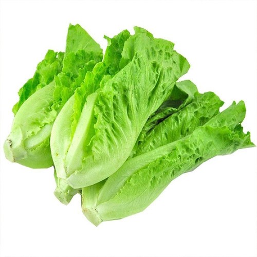 1000 all season romaine - 1000+all,