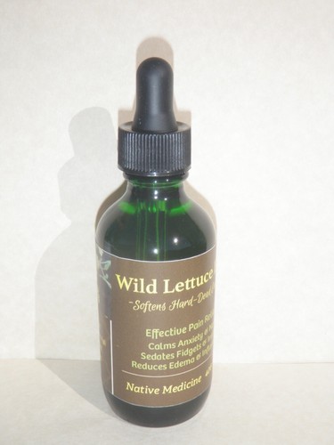 Wild lettuce tincture - wild,
