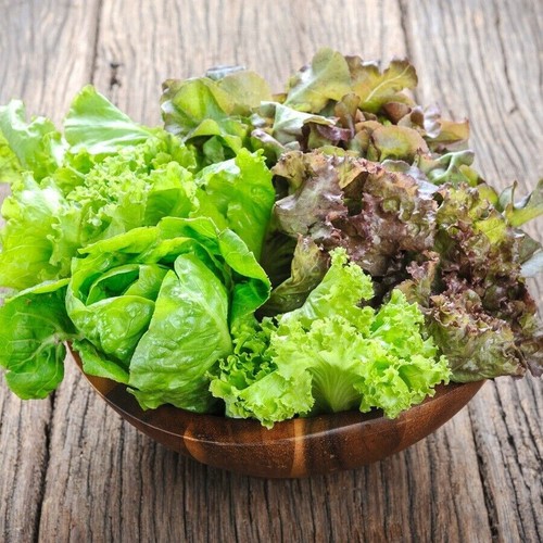 Mesclun mix leaf lettuce - leaf, 800